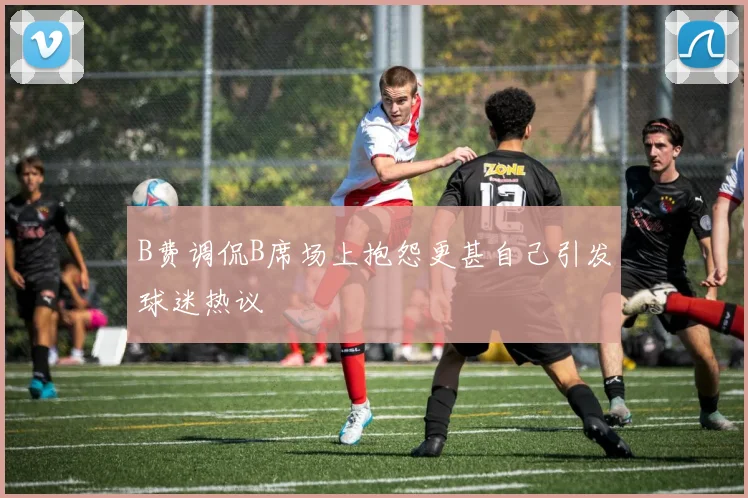 B费调侃B席场上抱怨更甚自己引发球迷热议