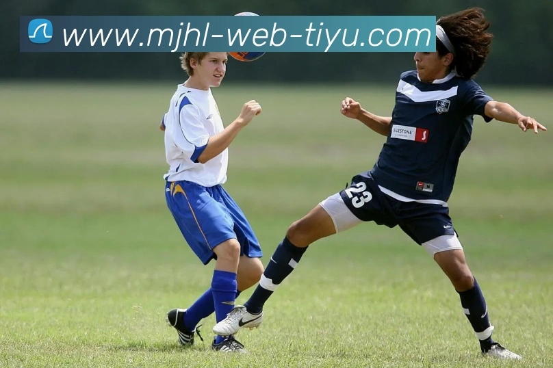 多媒体互动体验