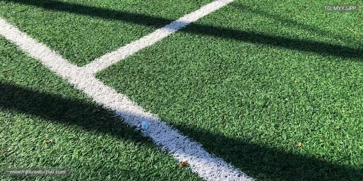 👕 球衣、球鞋、纪念品,你的热爱值得被珍藏!